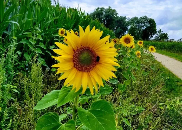 Semesterbostad Kysthus